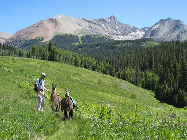 Near Lizard Pass